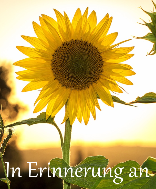 Profilbild von Elfriede Behrens