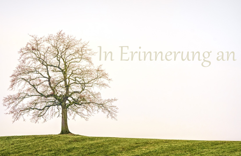 Profilbild von Erwin Ewert