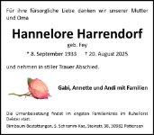 eine Anzeige