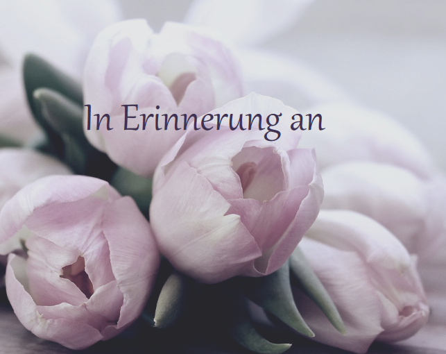 Profilbild von Renate D&ouml;rn