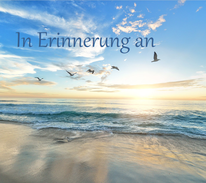 Profilbild von Siegfried Knorrn