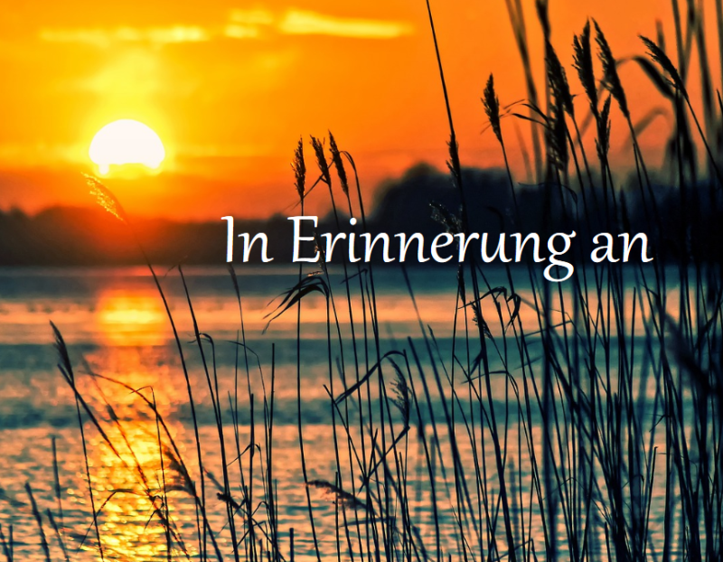 Profilbild von Wolf-Christian Breithor